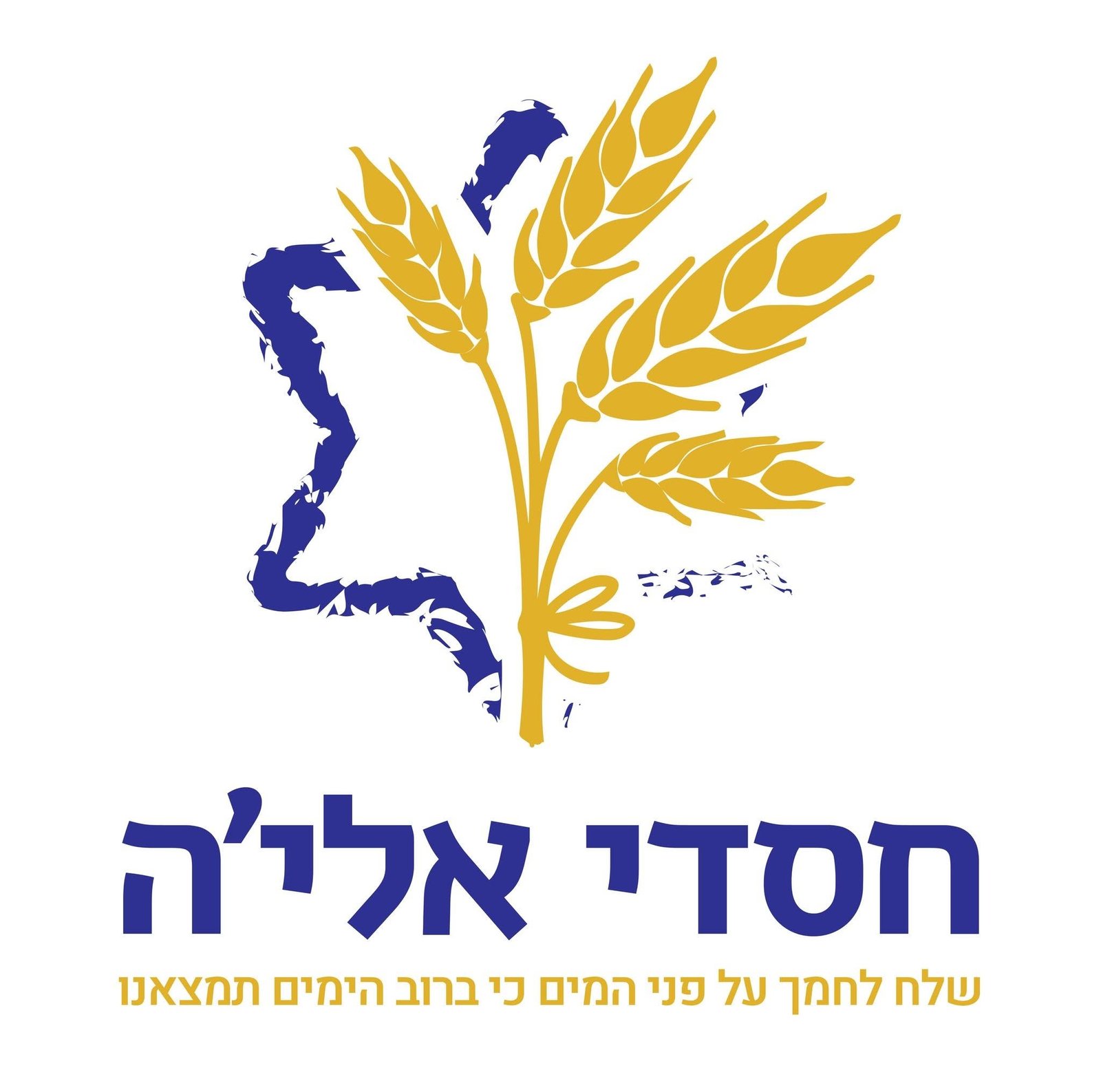 עמותת חסדי אלי׳ה