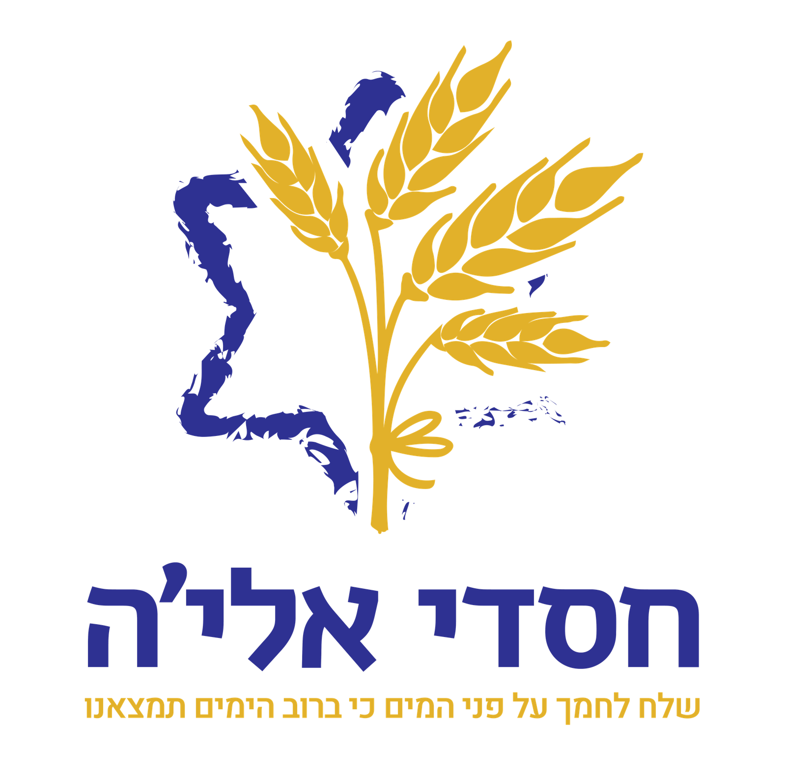 חסדי אלי׳ה